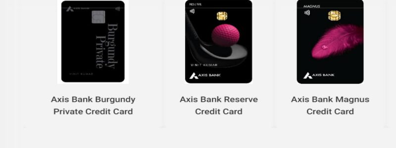 Axis Bank HNI Credit Cards